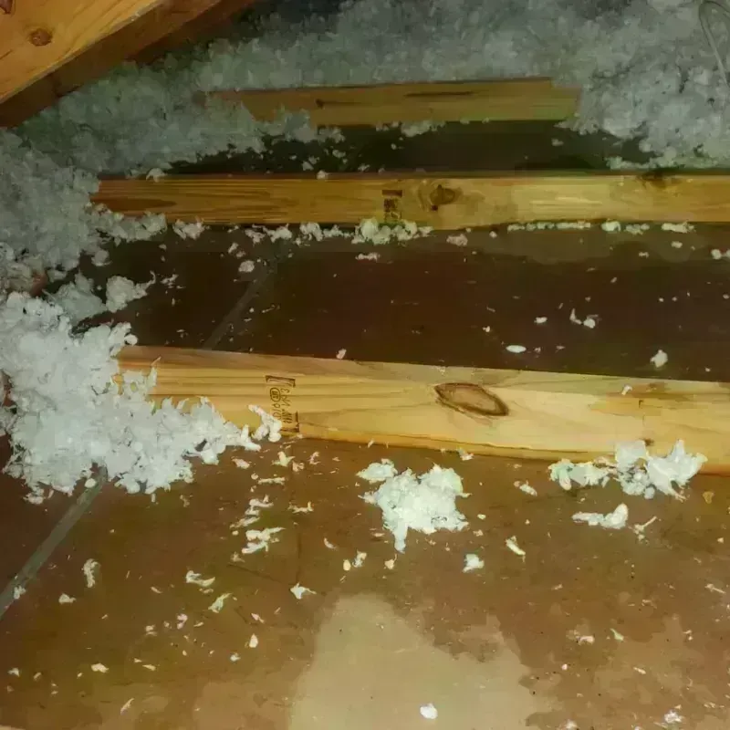 Attic Water Damage in Queensbury, NY